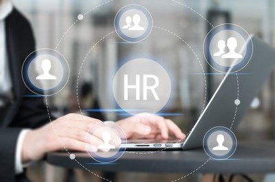 人力資源管理全攻略 從策略到實(shí)踐，打造高效能組織